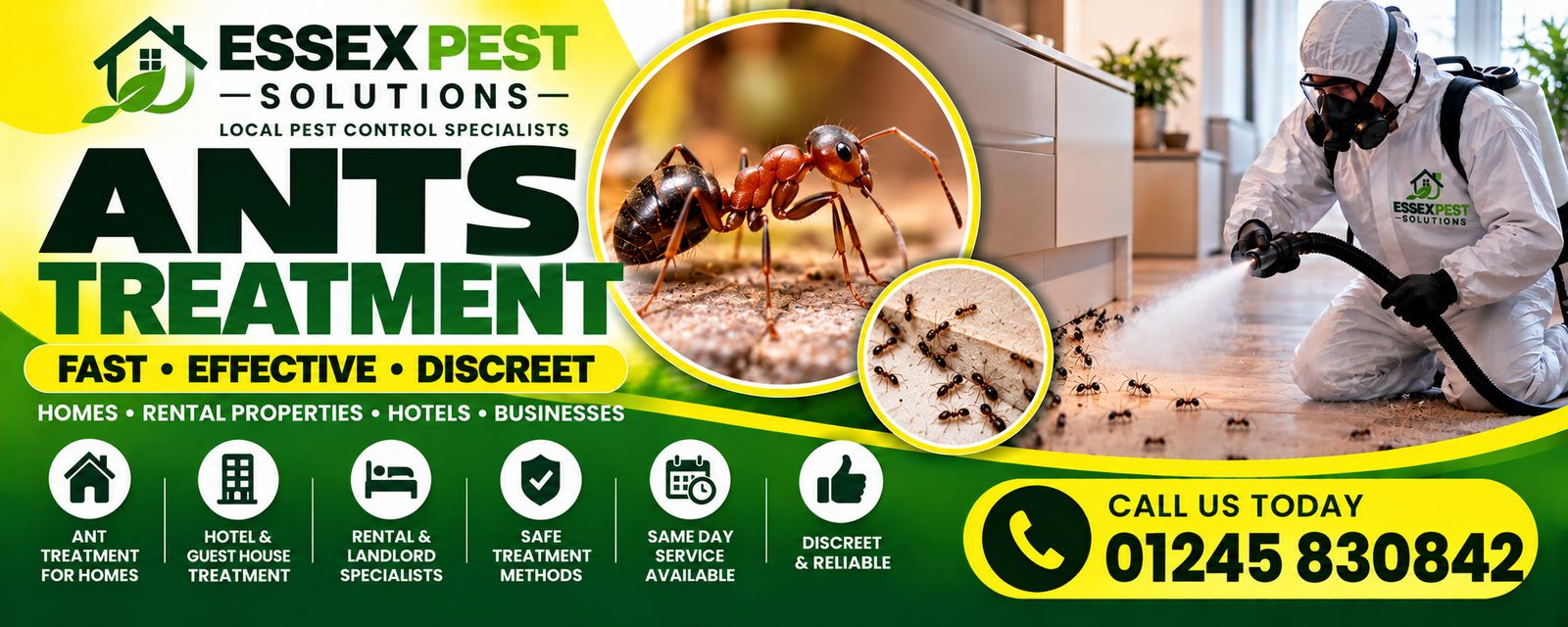 Essex Pest Solutions ant control: fast, effective, discreet pest control for homes, rental properties, hotels and businesses.