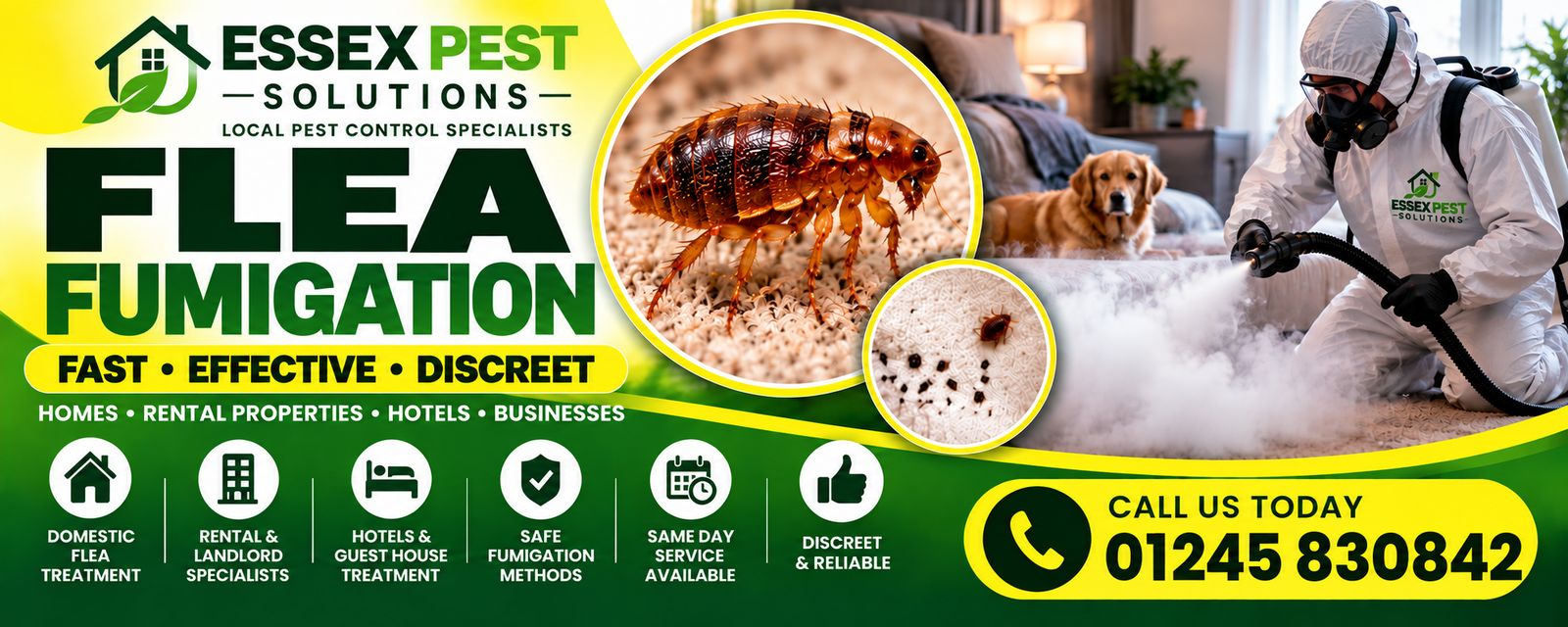 Essex Pest Solutions flea treatment: fast, effective, discreet pest control for homes, rental properties, hotels and businesses.