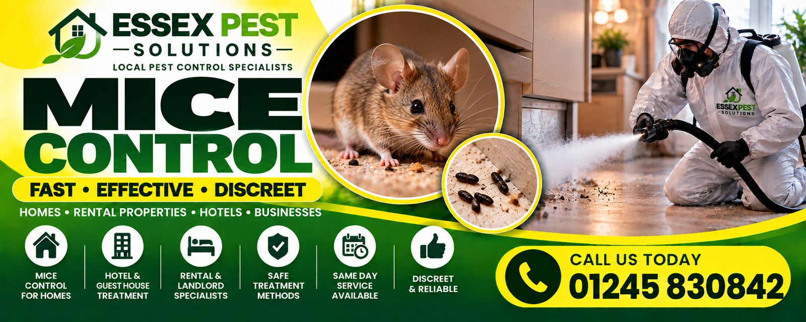 Essex Pest Solutions mouse control: fast, effective, discreet pest control for homes, rental properties, hotels and businesses.