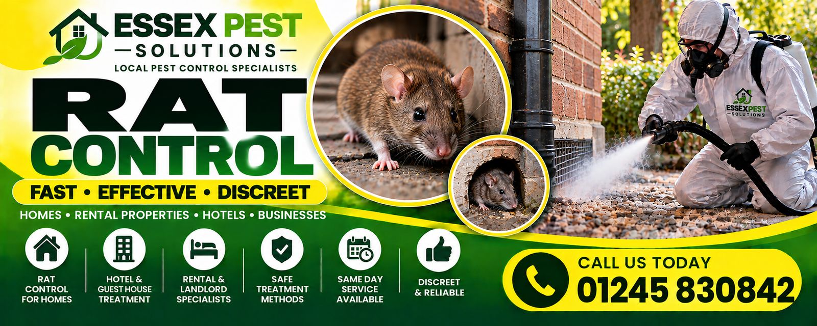 Essex Pest Solutions rat control: fast, effective, discreet pest control for homes, rental properties, hotels and businesses.