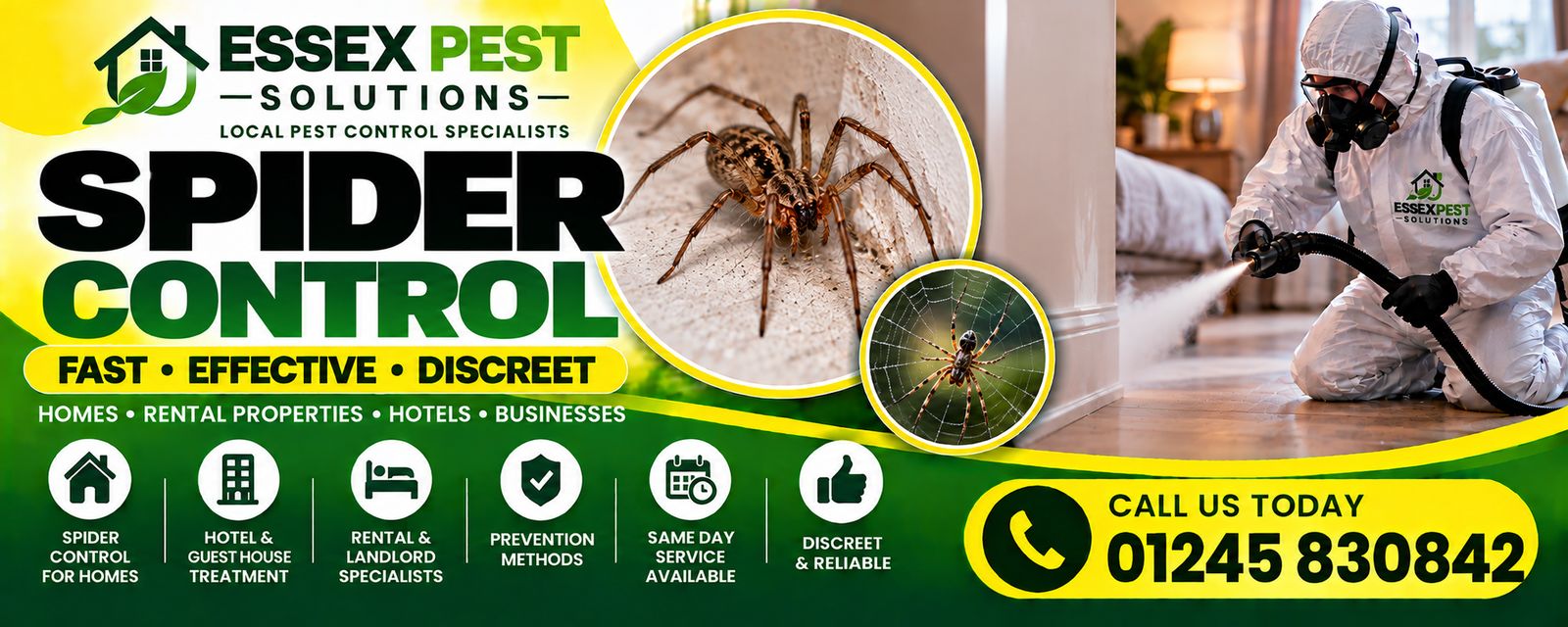Essex Pest Solutions spider control: fast, effective, discreet pest control for homes, rental properties, hotels and businesses.