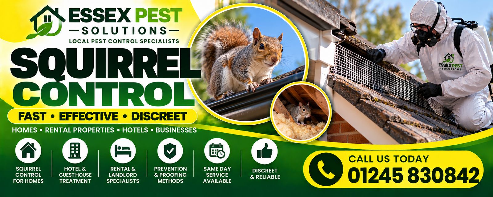 Essex Pest Solutions squirrel control: fast, effective, discreet pest control for homes, rental properties, hotels and businesses.