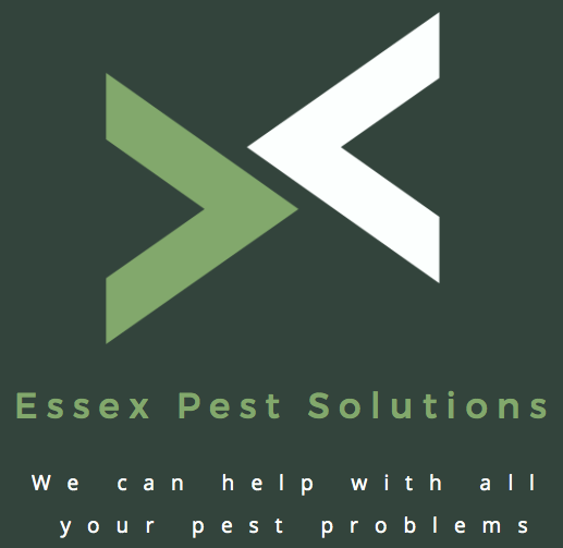 Essex Pest Solutions