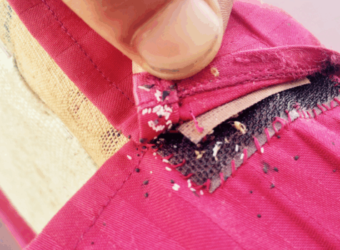 Bedbug control essex