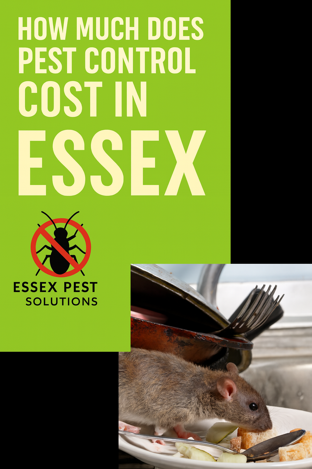 How Much Do Bedbug Treatments Cost in Essex