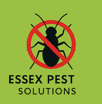 Essex Pest Solutions