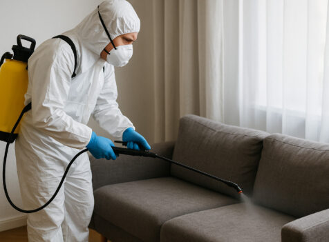 Professional Flea Exterminator in Basildon