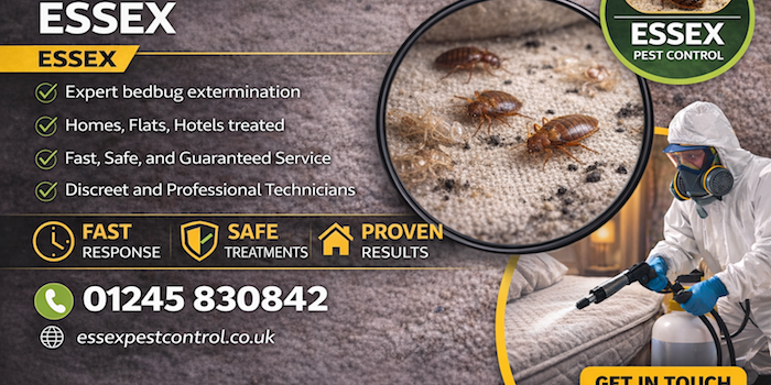 Bedbug treatments essex