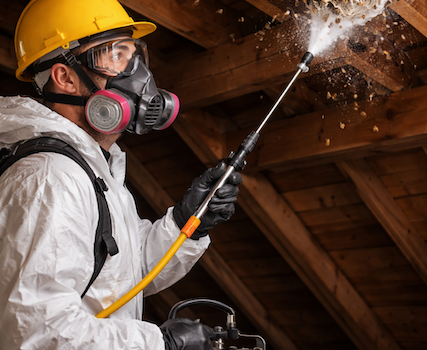 Wasp Removal Companies Dagenham