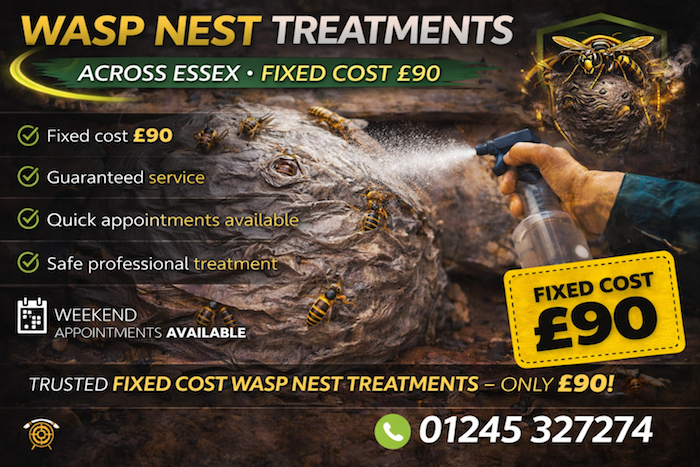 Wasp exterminator essex